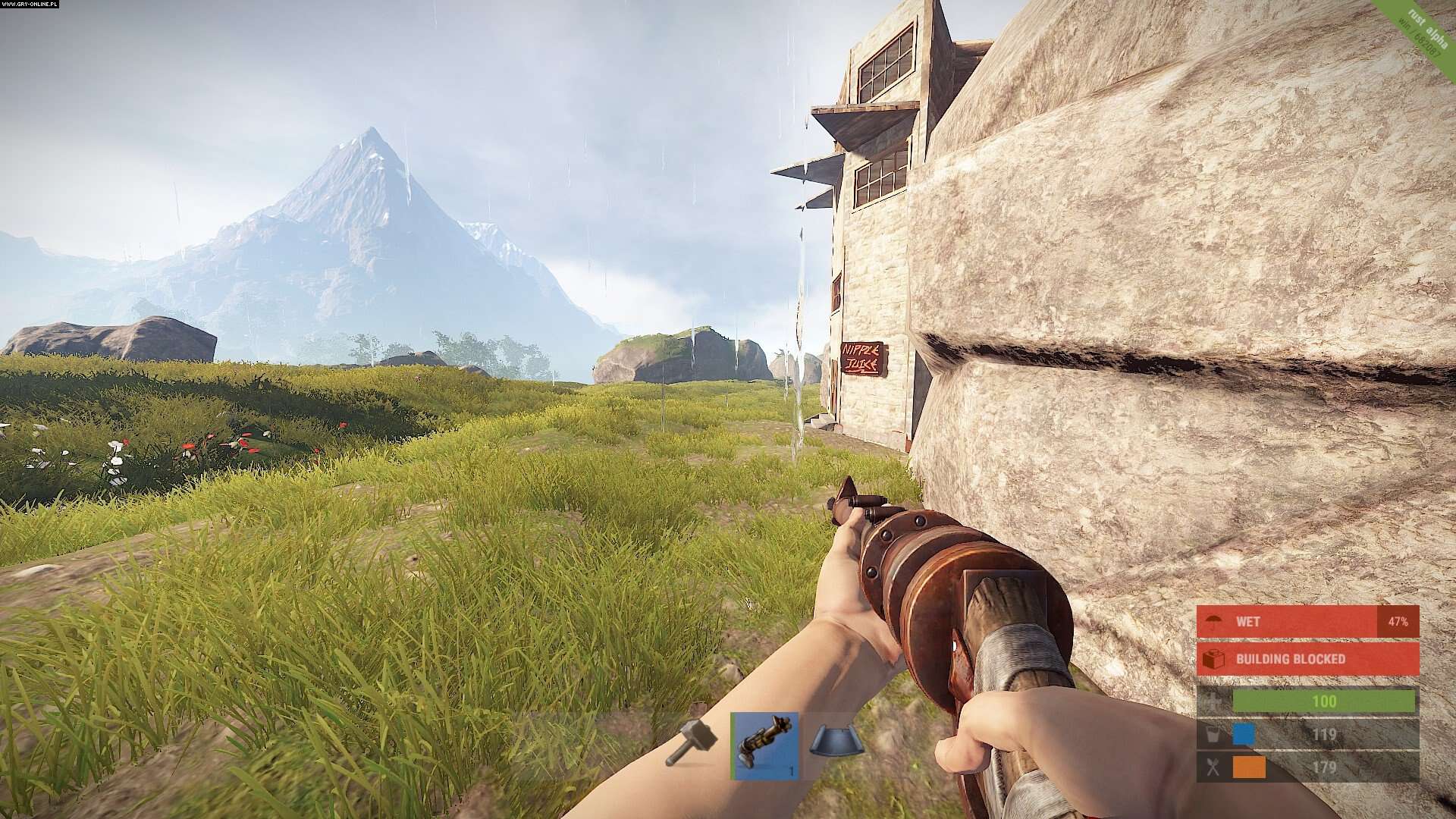 how to get rust for free and play online