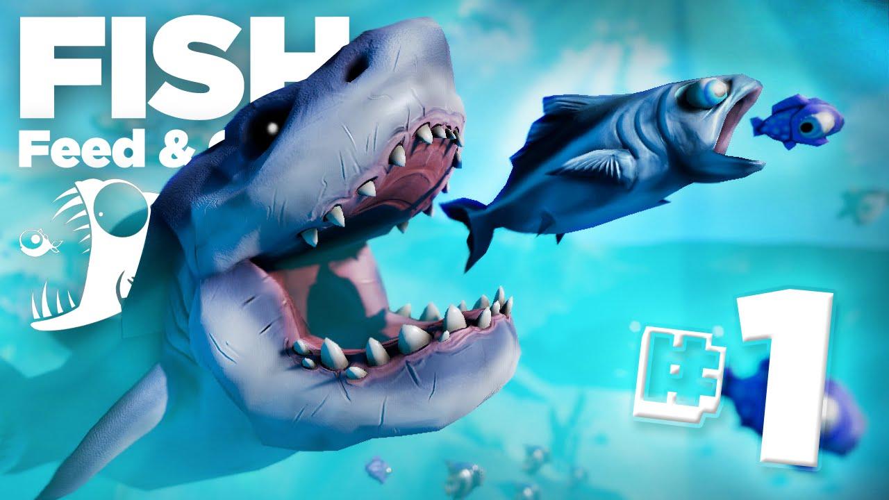 Feed And Grow Fish APK & iOS Latest Version Free Download  Gaming Debates