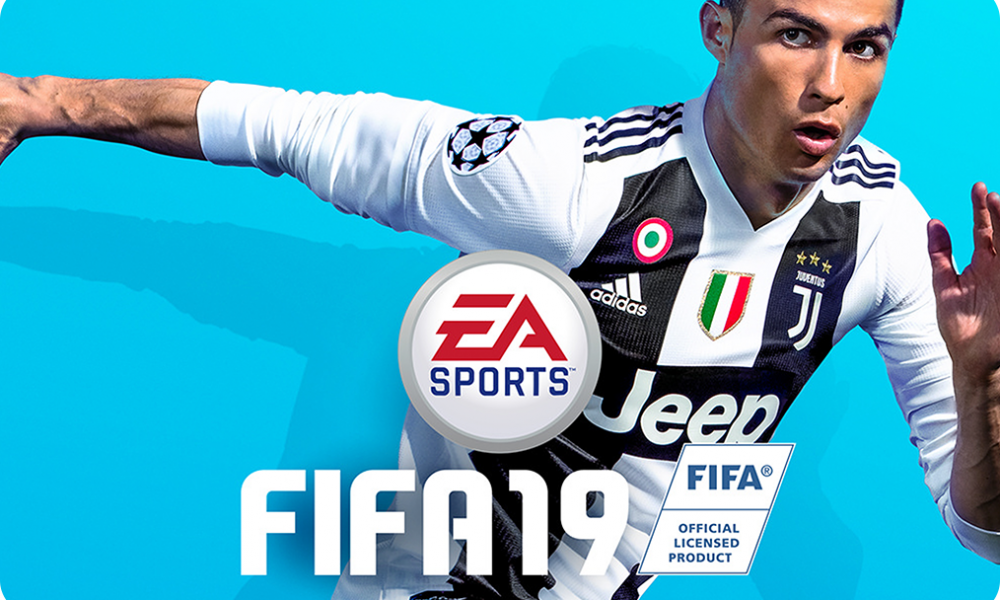 download fm 19 pc for free
