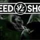 Weed Shop 2 iOS Latest Version Free Download