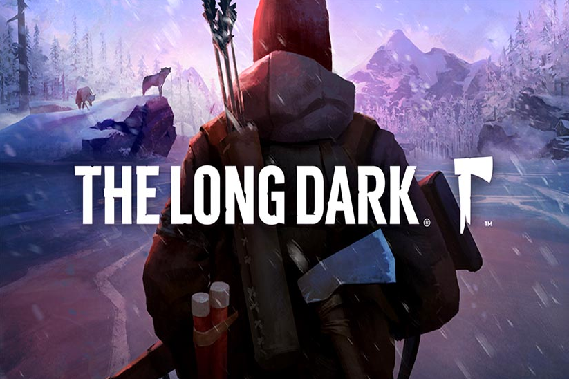 the long dark co op