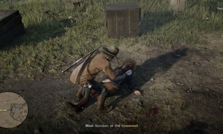 Red Dead Redemption 2 Player Catches NPC in Dishonorable Act