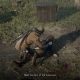 Red Dead Redemption 2 Player Catches NPC in Dishonorable Act