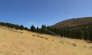 Wolfquest Apk iOS Latest Version Free Download