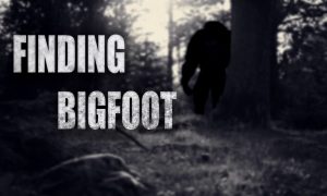 Finding Bigfoot PC Latest Version Game Free Download