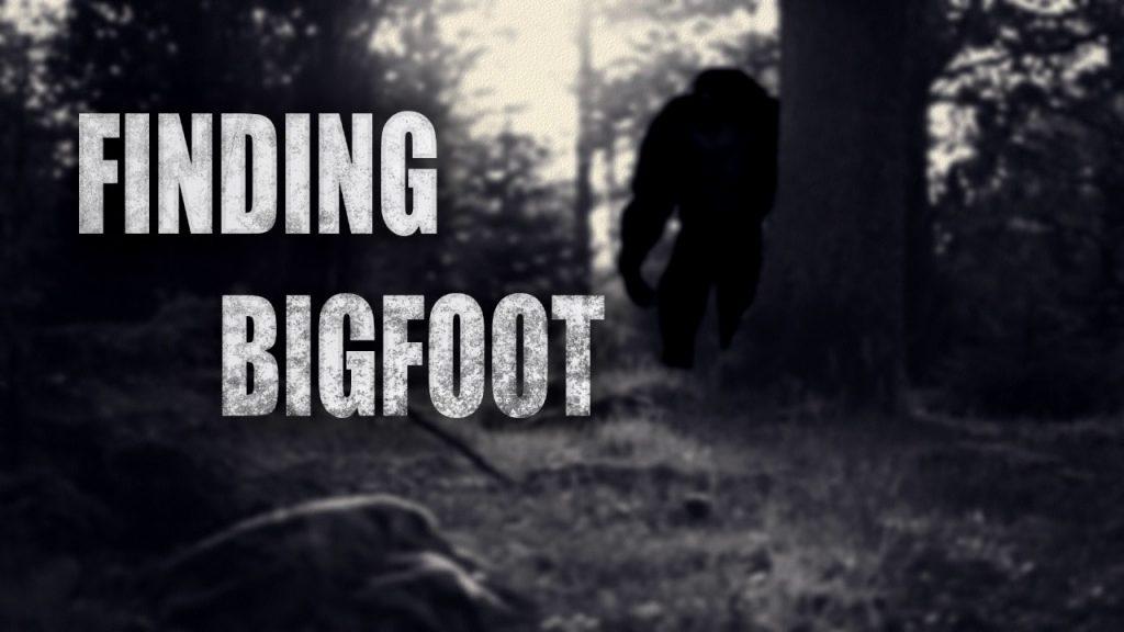 Finding Bigfoot PC Latest Version Game Free Download