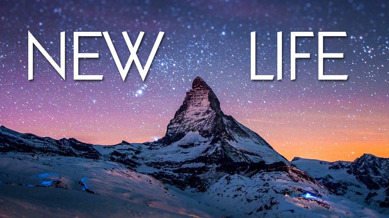 NEW LIFE PC Version Full Free Download