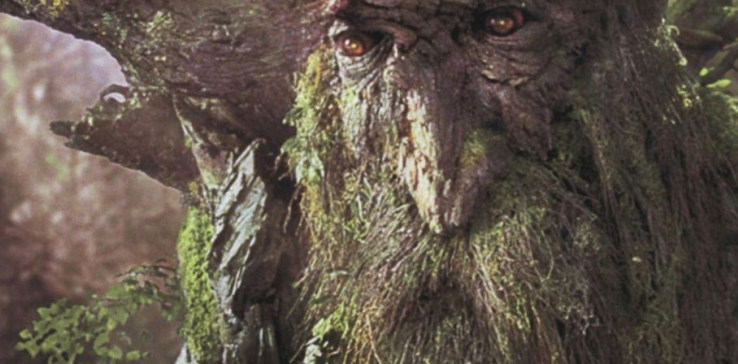 Lord Of The Rings: What Is The Importance Of The Ents?