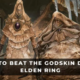 HOW TO BEAT GODSKIN DUO WITH ELDEN RING