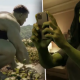 Marvel's "She-Hulk" trailer has divided fans