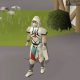 OSRS Graceful Outfit - Full Outfit & Recolors