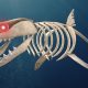 Roblox Sharkbite Codes List (September 2022)