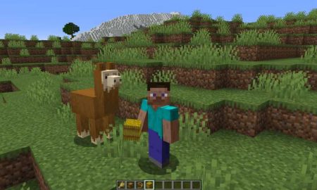 Minecraft Guide: How To Tame And Ride A Llama (2022)