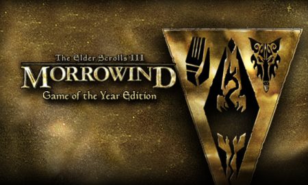 The Elder Scrolls III: Morrowind GOTY iOS/APK Download