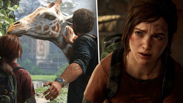 The Last Of Us director confirms he's begun work on next game