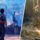 Horizon Zero Dawn meets Uncharted in an innovative new open-world game!