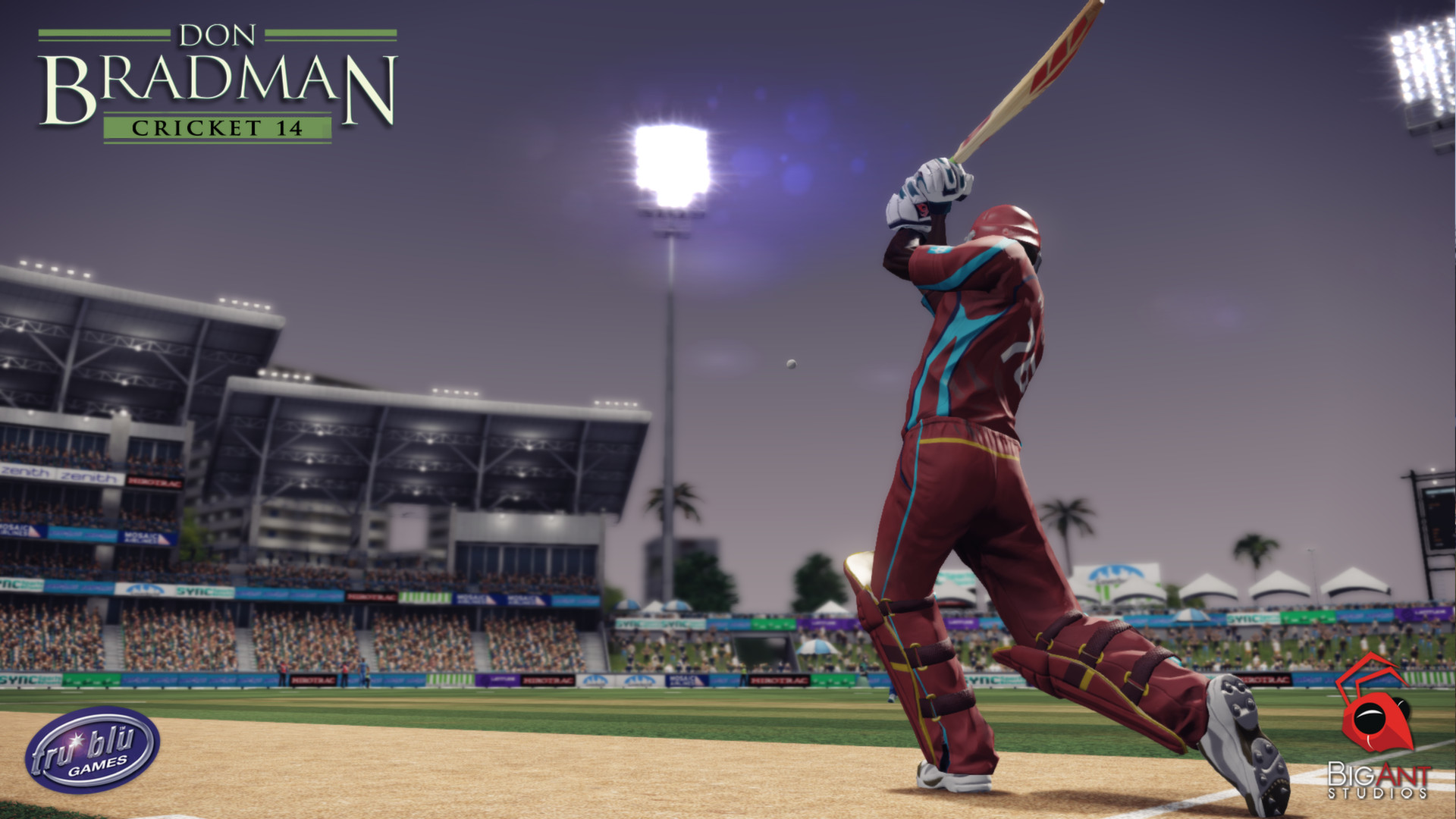 Don Bradman Cricket 14 Free Download PC (Full Version)