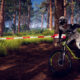 Descenders