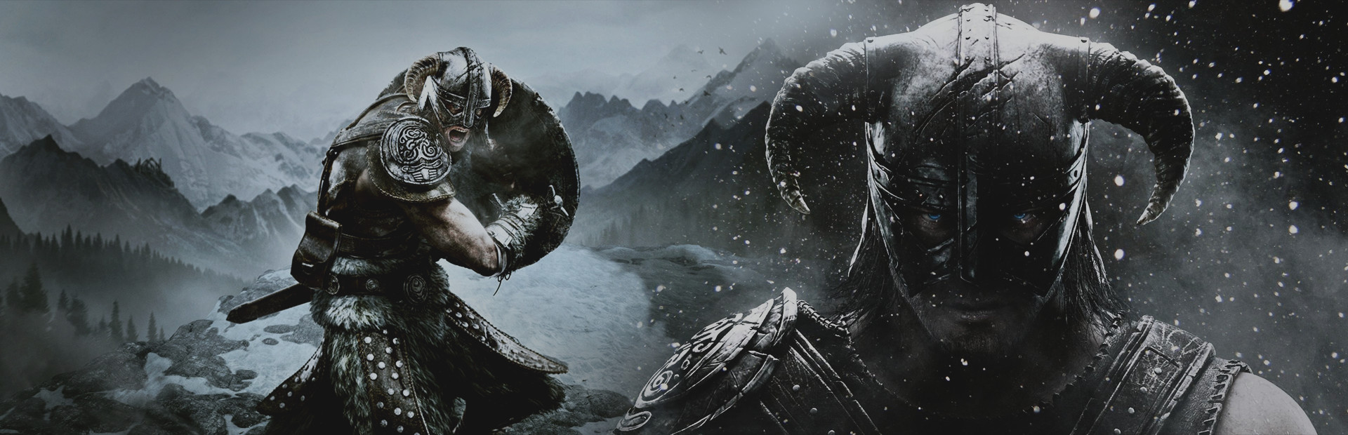 The Elder Scrolls V Skyrim