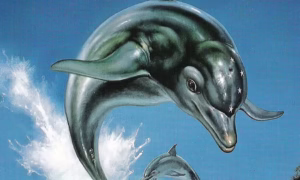 Ecco the Dolphin
